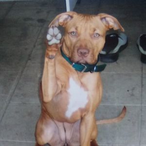 Meet your Posher, Catherine